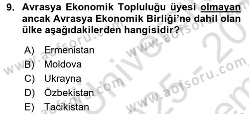 Uluslararası Örgütler Dersi 2025 - 2026 Yılı (Final) Dönem Sonu Sınav Soruları 9. Soru