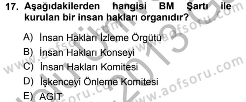 İnsan Hakları ve Demokratikleşme Süreci Dersi 2012 - 2013 Yılı (Vize) Ara Sınav Soruları 17. Soru