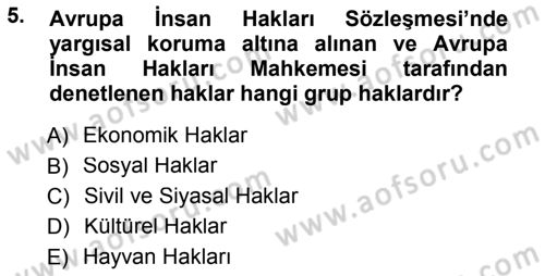 İnsan Hakları ve Demokratikleşme Süreci Dersi 2012 - 2013 Yılı (Final) Dönem Sonu Sınav Soruları 5. Soru