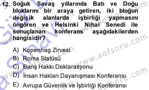 İnsan Hakları ve Demokratikleşme Süreci Dersi 2013 - 2014 Yılı (Vize) Ara Sınav Soruları 12. Soru