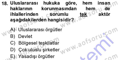 İnsan Hakları ve Demokratikleşme Süreci Dersi 2013 - 2014 Yılı (Vize) Ara Sınav Soruları 18. Soru