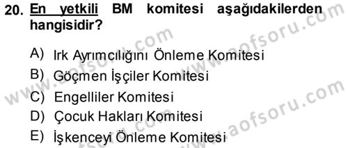 İnsan Hakları ve Demokratikleşme Süreci Dersi 2013 - 2014 Yılı (Vize) Ara Sınav Soruları 20. Soru
