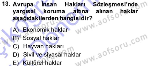 İnsan Hakları ve Demokratikleşme Süreci Dersi 2014 - 2015 Yılı (Vize) Ara Sınav Soruları 13. Soru