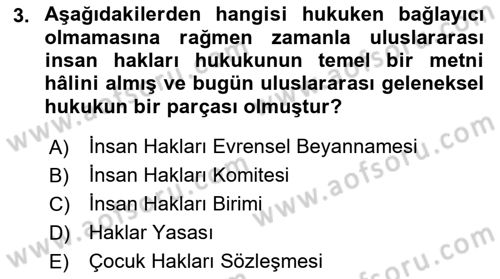 İnsan Hakları ve Demokratikleşme Süreci Dersi 2015 - 2016 Yılı (Final) Dönem Sonu Sınav Soruları 3. Soru