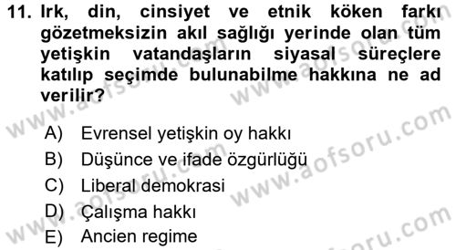İnsan Hakları ve Demokratikleşme Süreci Dersi 2016 - 2017 Yılı 3 Ders Sınav Soruları 11. Soru