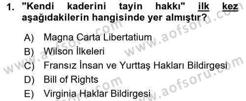 İnsan Hakları ve Demokratikleşme Süreci Dersi 2016 - 2017 Yılı (Vize) Ara Sınav Soruları 1. Soru