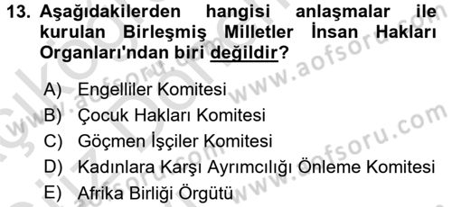 İnsan Hakları ve Demokratikleşme Süreci Dersi 2016 - 2017 Yılı (Vize) Ara Sınav Soruları 13. Soru