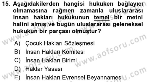 İnsan Hakları ve Demokratikleşme Süreci Dersi 2016 - 2017 Yılı (Vize) Ara Sınav Soruları 15. Soru