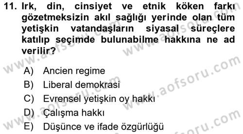 İnsan Hakları ve Demokratikleşme Süreci Dersi 2016 - 2017 Yılı (Final) Dönem Sonu Sınav Soruları 11. Soru