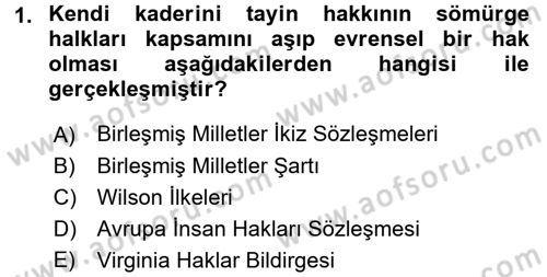 İnsan Hakları ve Demokratikleşme Süreci Dersi 2017 - 2018 Yılı (Vize) Ara Sınav Soruları 1. Soru