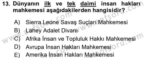 İnsan Hakları ve Demokratikleşme Süreci Dersi 2017 - 2018 Yılı (Vize) Ara Sınav Soruları 13. Soru