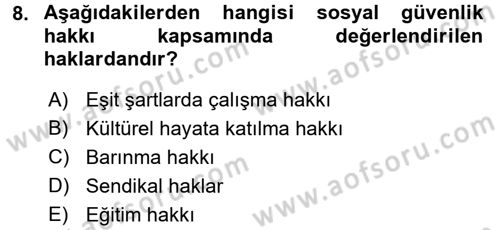 İnsan Hakları ve Demokratikleşme Süreci Dersi 2017 - 2018 Yılı (Vize) Ara Sınav Soruları 8. Soru