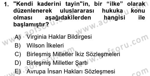 İnsan Hakları ve Demokratikleşme Süreci Dersi Ara Sınavı Deneme Sınav Soruları 1. Soru