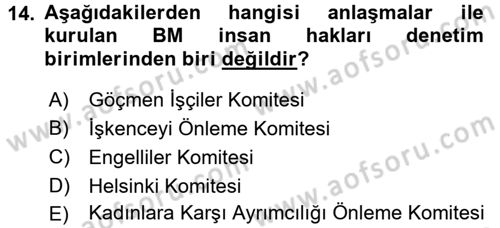 İnsan Hakları ve Demokratikleşme Süreci Dersi Ara Sınavı Deneme Sınav Soruları 14. Soru