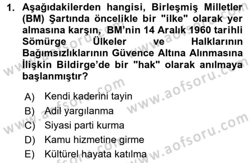 İnsan Hakları ve Demokratikleşme Süreci Dersi 2021 - 2022 Yılı (Vize) Ara Sınav Soruları 1. Soru
