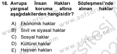 İnsan Hakları ve Demokratikleşme Süreci Dersi 2021 - 2022 Yılı (Vize) Ara Sınav Soruları 18. Soru