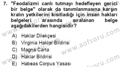 İnsan Hakları ve Demokratikleşme Süreci Dersi 2021 - 2022 Yılı (Final) Dönem Sonu Sınav Soruları 7. Soru