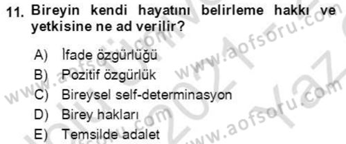 İnsan Hakları ve Demokratikleşme Süreci Dersi 2021 - 2022 Yılı Yaz Okulu Sınav Soruları 11. Soru
