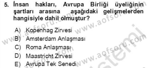 İnsan Hakları ve Demokratikleşme Süreci Dersi 2021 - 2022 Yılı Yaz Okulu Sınav Soruları 5. Soru