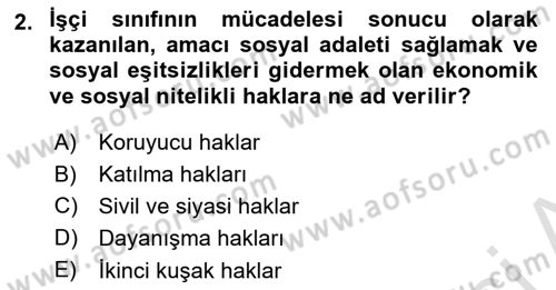 İnsan Hakları ve Demokratikleşme Süreci Dersi Ara Sınavı Deneme Sınav Soruları 2. Soru