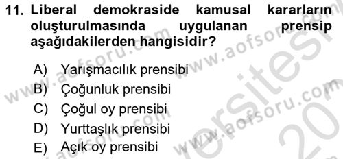 İnsan Hakları ve Demokratikleşme Süreci Dersi 2022 - 2023 Yılı Yaz Okulu Sınav Soruları 11. Soru