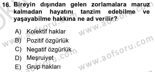 İnsan Hakları ve Demokratikleşme Süreci Dersi 2022 - 2023 Yılı Yaz Okulu Sınav Soruları 16. Soru