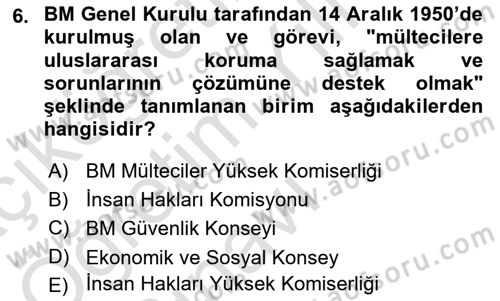 İnsan Hakları ve Demokratikleşme Süreci Dersi 2022 - 2023 Yılı Yaz Okulu Sınav Soruları 6. Soru