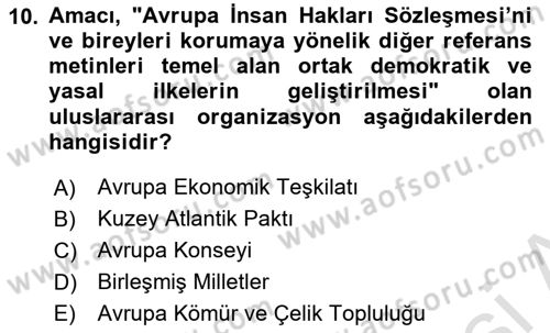 İnsan Hakları ve Demokratikleşme Süreci Dersi 2023 - 2024 Yılı (Vize) Ara Sınav Soruları 10. Soru