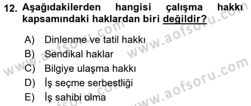 İnsan Hakları ve Demokratikleşme Süreci Dersi 2023 - 2024 Yılı (Vize) Ara Sınav Soruları 12. Soru