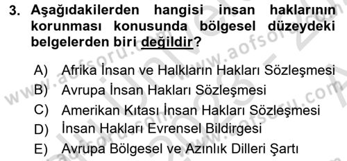 İnsan Hakları ve Demokratikleşme Süreci Dersi 2023 - 2024 Yılı (Vize) Ara Sınav Soruları 3. Soru