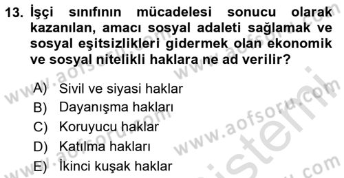 İnsan Hakları ve Demokratikleşme Süreci Dersi 2024 - 2025 Yılı (Vize) Ara Sınav Soruları 13. Soru