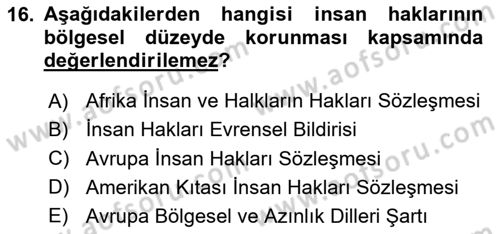 İnsan Hakları ve Demokratikleşme Süreci Dersi 2024 - 2025 Yılı (Vize) Ara Sınav Soruları 16. Soru