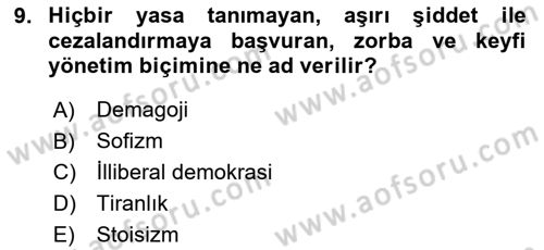İnsan Hakları ve Demokratikleşme Süreci Dersi 2024 - 2025 Yılı (Vize) Ara Sınav Soruları 9. Soru