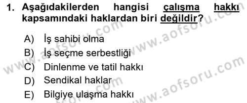İnsan Hakları ve Demokratikleşme Süreci Dersi 2024 - 2025 Yılı Yaz Okulu Sınav Soruları 1. Soru