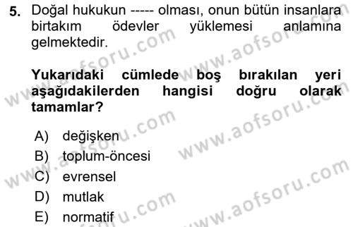 İnsan Hakları ve Demokratikleşme Süreci Dersi 2024 - 2025 Yılı Yaz Okulu Sınav Soruları 5. Soru
