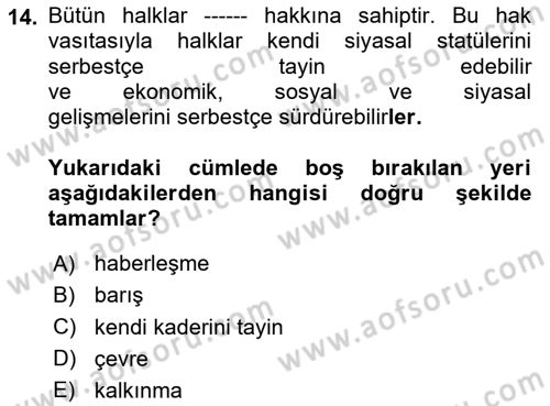 İnsan Hakları ve Demokratikleşme Süreci Dersi 2025 - 2026 Yılı (Vize) Ara Sınav Soruları 14. Soru