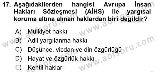 İnsan Hakları ve Demokratikleşme Süreci Dersi 2025 - 2026 Yılı (Vize) Ara Sınav Soruları 17. Soru