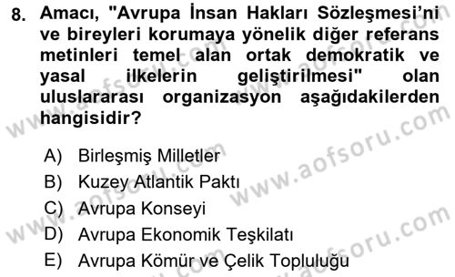 İnsan Hakları ve Demokratikleşme Süreci Dersi 2025 - 2026 Yılı (Vize) Ara Sınav Soruları 8. Soru