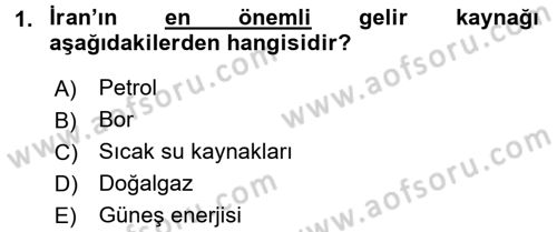 Diş Politika Analizi Dersi 2015 - 2016 Yılı (Final) Dönem Sonu Sınav Soruları 1. Soru