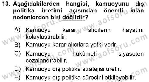 Diş Politika Analizi Dersi 2016 - 2017 Yılı (Vize) Ara Sınav Soruları 13. Soru