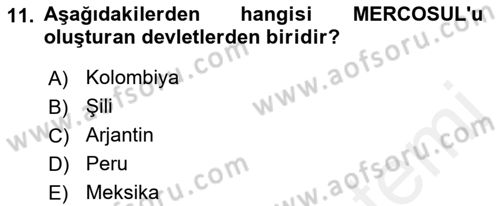 Diş Politika Analizi Dersi 2018 - 2019 Yılı (Final) Dönem Sonu Sınav Soruları 11. Soru