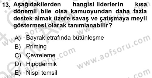 Diş Politika Analizi Dersi 2023 - 2024 Yılı (Vize) Ara Sınav Soruları 13. Soru