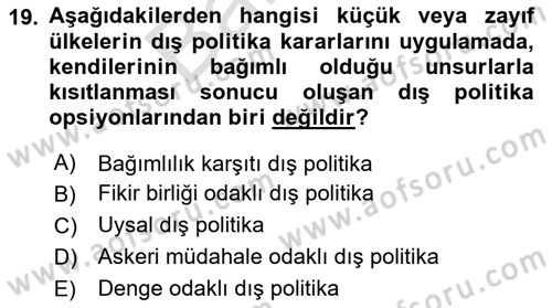 Diş Politika Analizi Dersi 2023 - 2024 Yılı (Final) Dönem Sonu Sınav Soruları 19. Soru