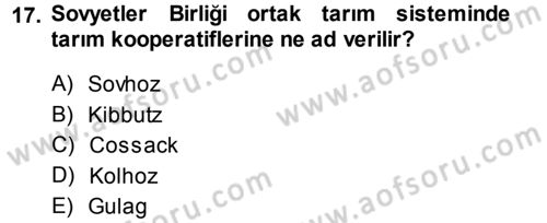 Karşılaştırmalı Siyasal Sistemler Dersi 2013 - 2014 Yılı (Final) Dönem Sonu Sınav Soruları 17. Soru