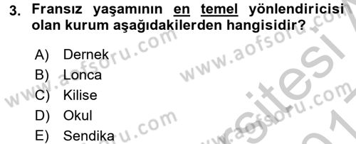 Karşılaştırmalı Siyasal Sistemler Dersi 2016 - 2017 Yılı 3 Ders Sınav Soruları 3. Soru