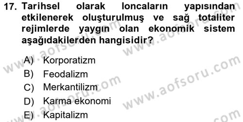 Karşılaştırmalı Siyasal Sistemler Dersi 2016 - 2017 Yılı (Final) Dönem Sonu Sınav Soruları 17. Soru