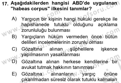 Karşılaştırmalı Siyasal Sistemler Dersi 2017 - 2018 Yılı (Vize) Ara Sınav Soruları 17. Soru