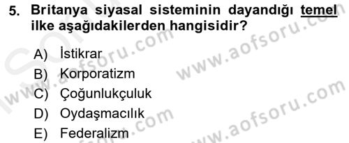 Karşılaştırmalı Siyasal Sistemler Dersi 2018 - 2019 Yılı (Final) Dönem Sonu Sınav Soruları 5. Soru