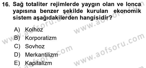 Karşılaştırmalı Siyasal Sistemler Dersi 2022 - 2023 Yılı (Final) Dönem Sonu Sınavı 16. Soru