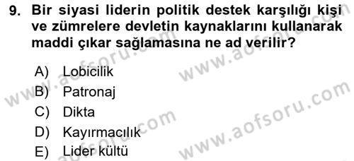 Karşılaştırmalı Siyasal Sistemler Dersi 2022 - 2023 Yılı (Final) Dönem Sonu Sınavı 9. Soru